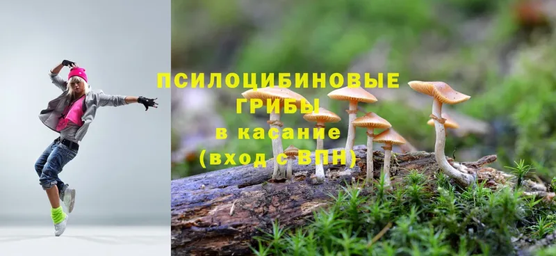 Галлюциногенные грибы Psilocybe  магазин    Палласовка 